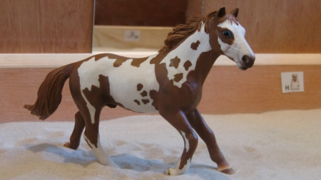 Dit is kwik. Kwik is een ontzettend mooi en snel paard. Hij heeft wel pit, dus je moet hem wel even aanpakken. Want hij gaat je uittesten!